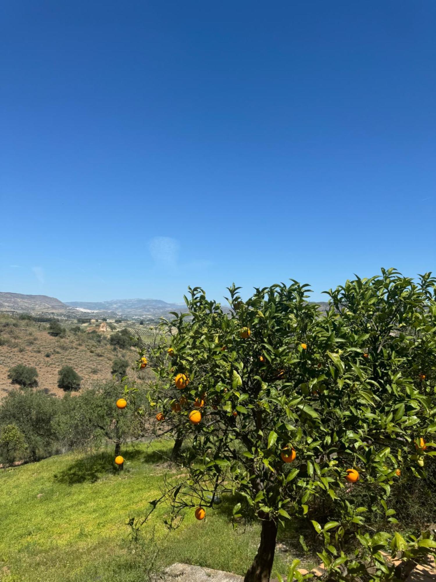 Santa Teresa Bed & Breakfast Andalusien Писара Екстериор снимка