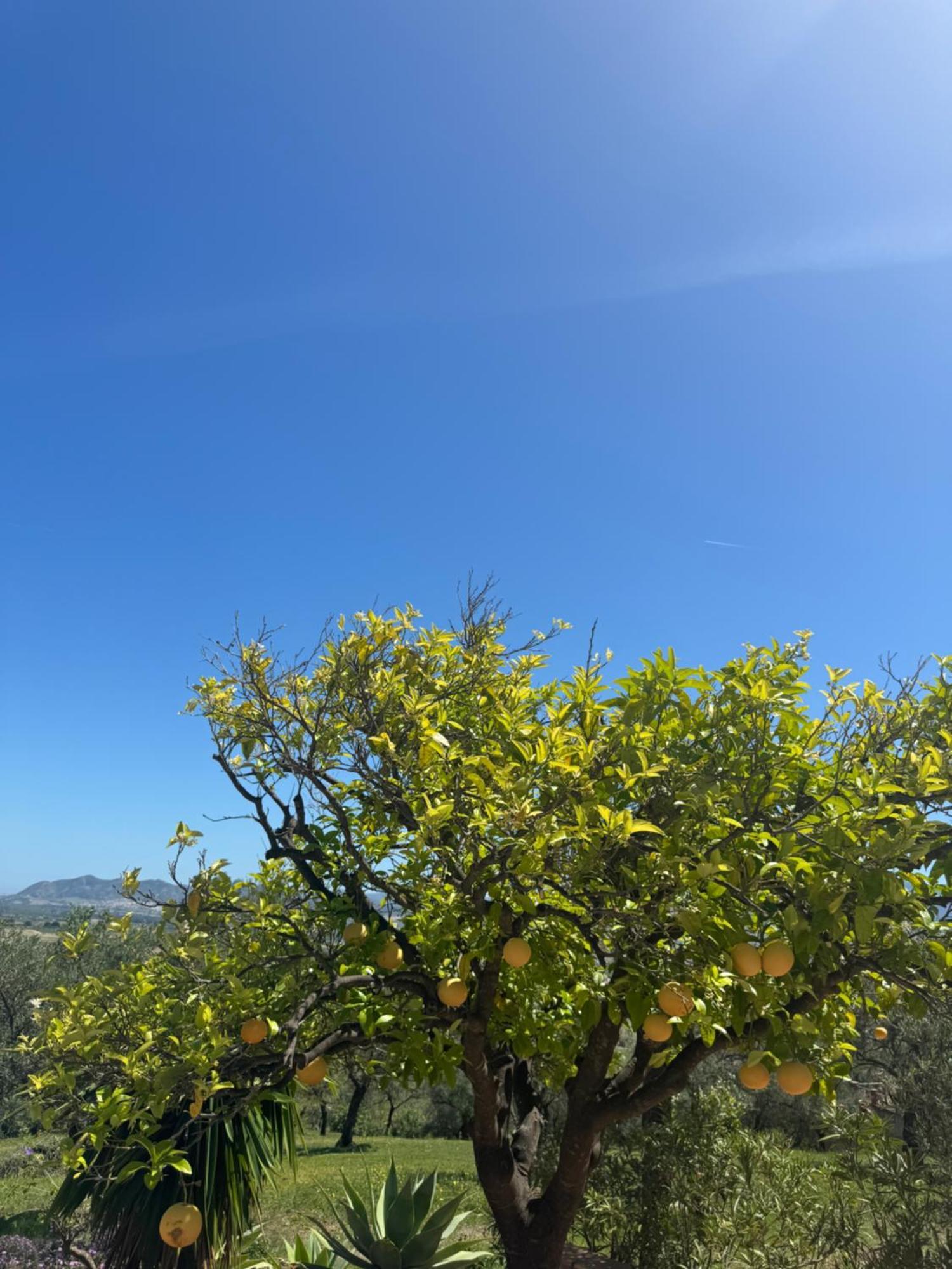 Santa Teresa Bed & Breakfast Andalusien Писара Екстериор снимка