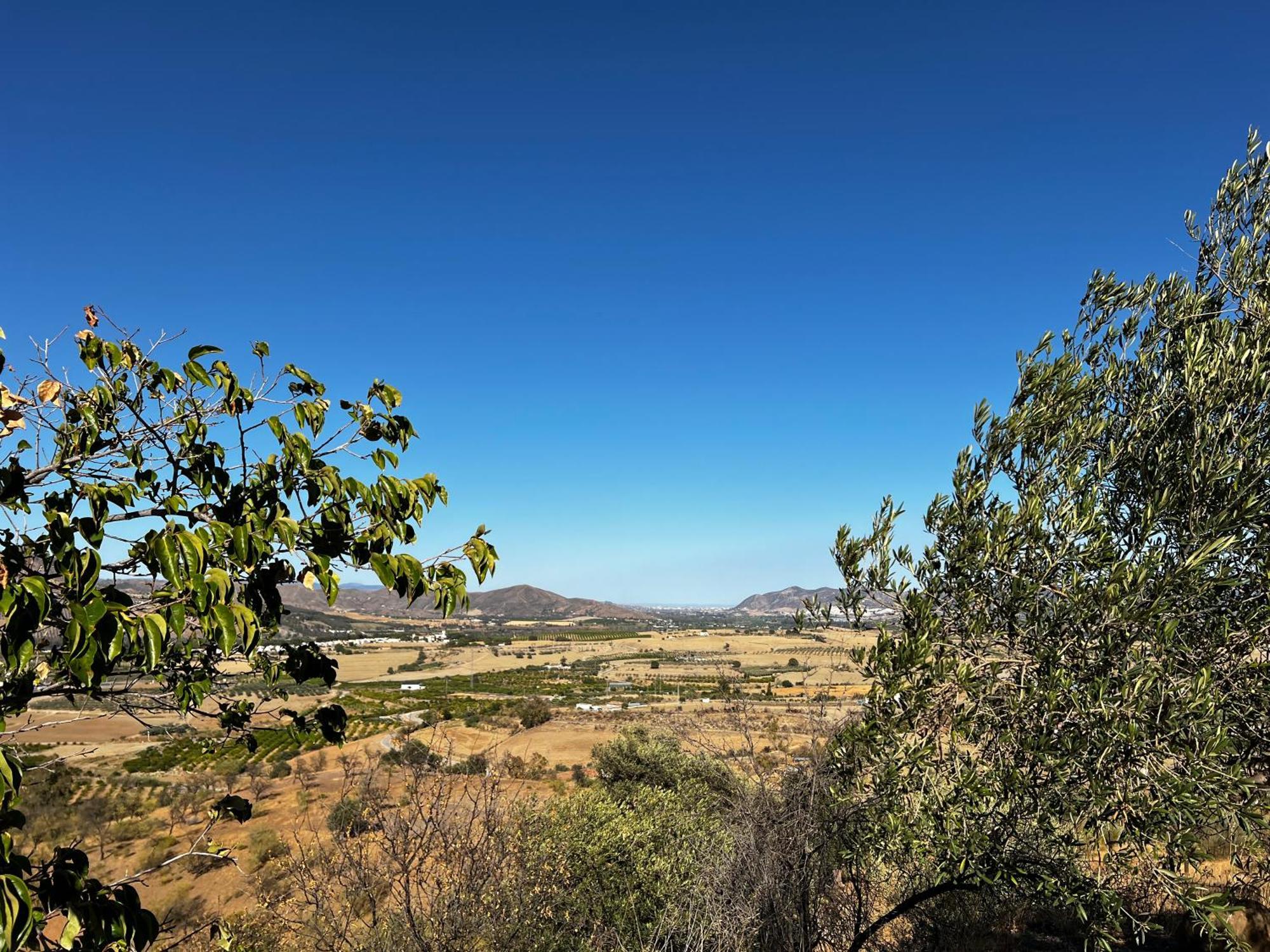 Santa Teresa Bed & Breakfast Andalusien Писара Екстериор снимка