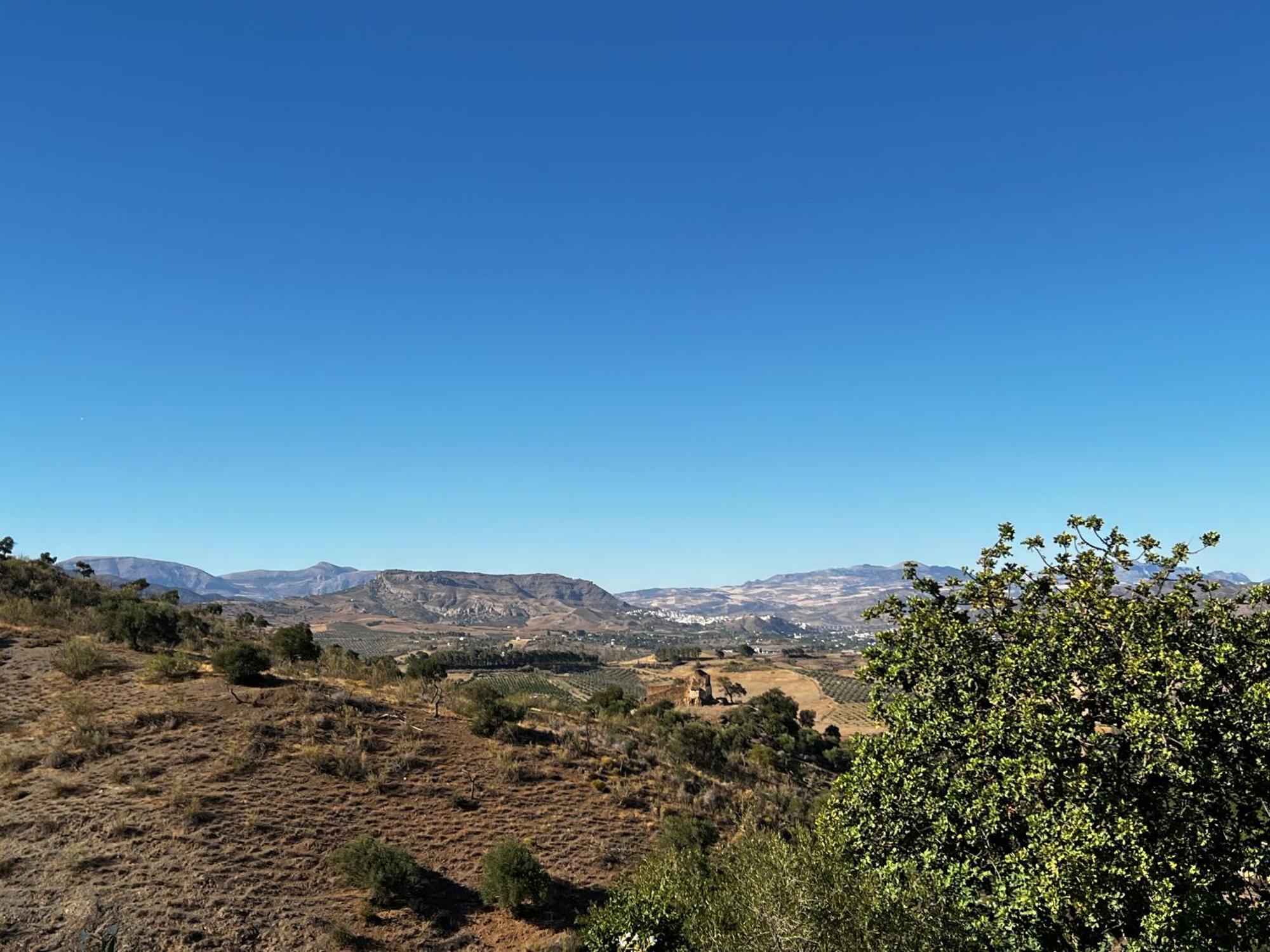 Santa Teresa Bed & Breakfast Andalusien Писара Екстериор снимка